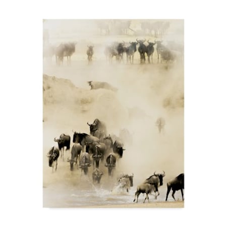 Husain Alfraid 'Swarming' Canvas Art,35x47